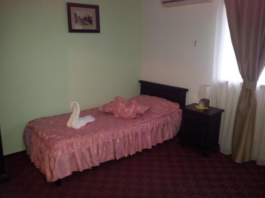 Pension Casa Sibiana Суліна Екстер'єр фото